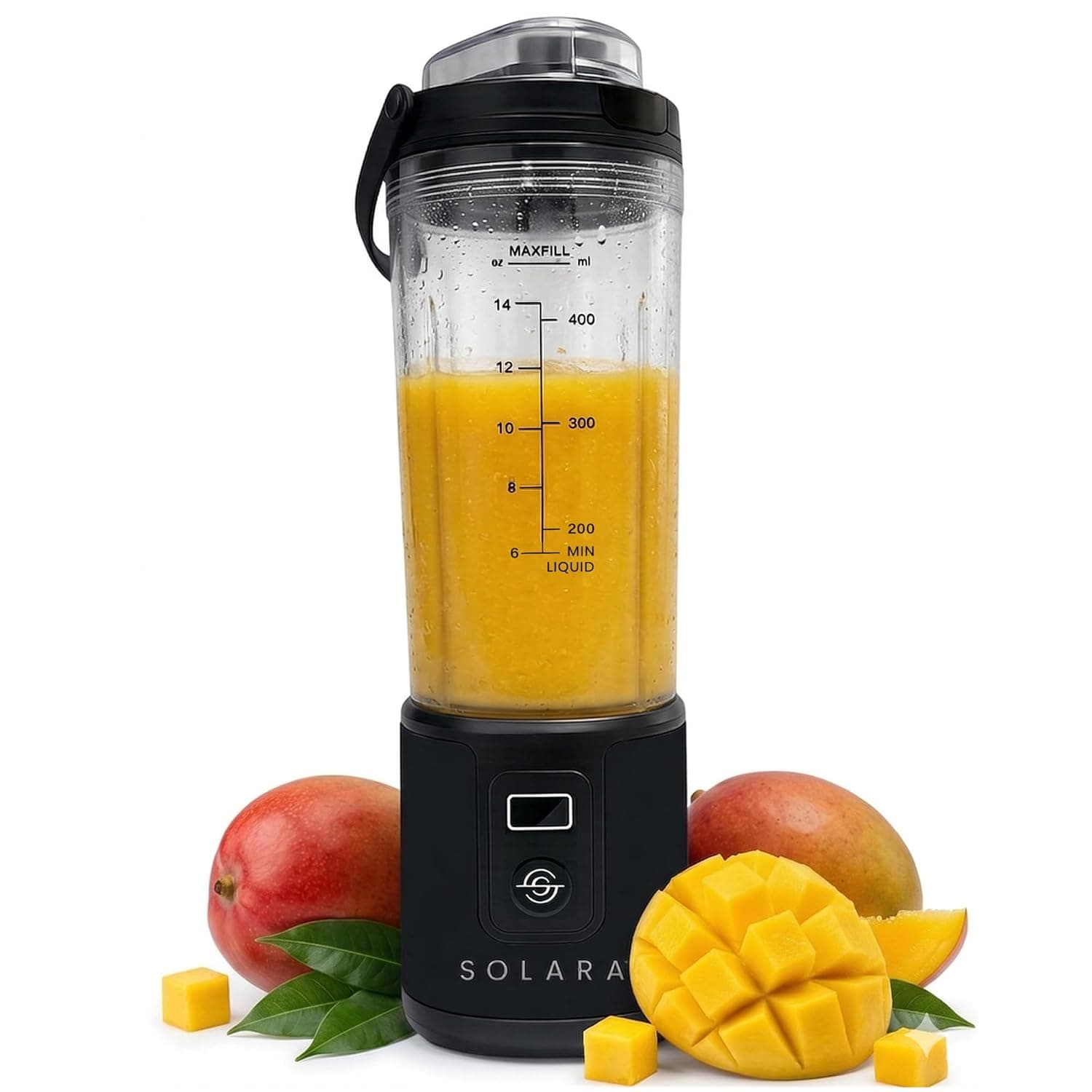 Blendkwik Pro Portable Blender ( 450ml) - 1